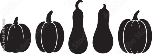 Autumn Harvest Silhouette: An elegant black and white illustration of pumpkins and gourds celebrates the harvest season, offering a timeless visual that conveys rustic simplicity.