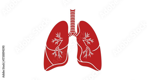 Anatomical lung illustration in a minimalist style for health and science visuals