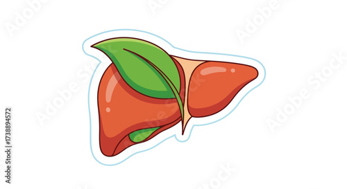 Stylized liver icon with vibrant green leaf symbolizing hepatic wellness and botanical health