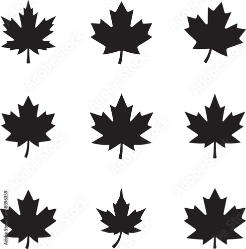 Maple Leaves: Silhouette of the iconic maple leaf, artfully arranged against a clean background, symbolizing autumn and Canadian heritage.