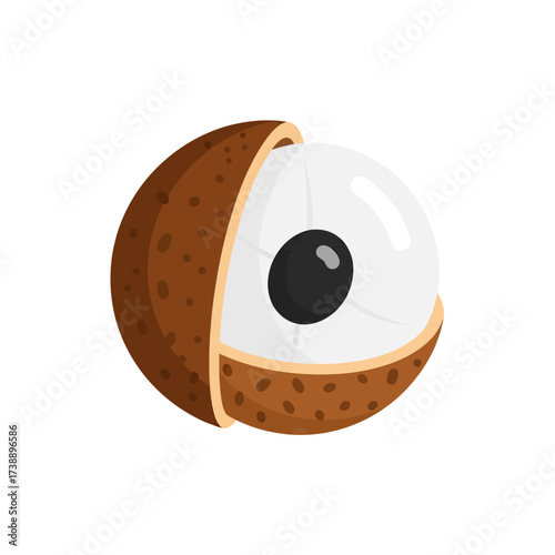 Vibrant lychee fruit illustration showcasing juicy interior with delicate texture detail