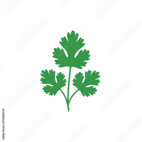 Simple aesthetic illustration of a cilantro sprig providing freshness and culinary appeal