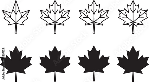 Maple Leaf Variations: A captivating array of maple leaf outlines and silhouettes in black and white, representing simplicity and elegance. Perfect for showcasing autumn and national pride.