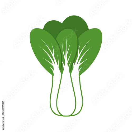 Stylized illustration of vibrant bok choy vegetable showcasing its leafy structure
