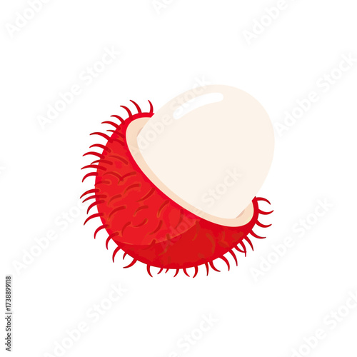 Vibrant rambutan fruit isolated displaying its refreshing white flesh against a bright white