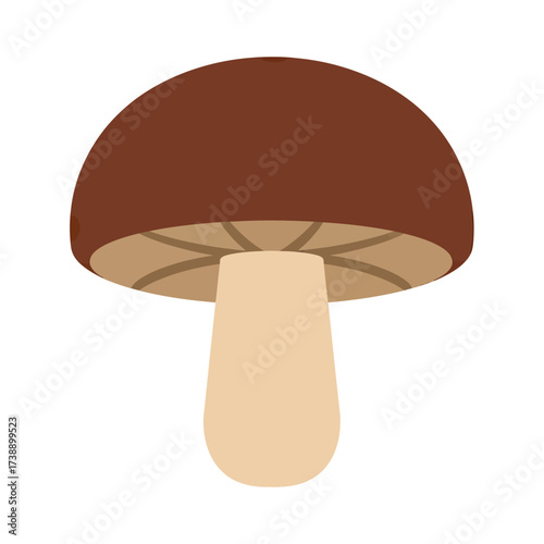 A whimsical mushroom illustration with earthen hues evoking organic simplicity