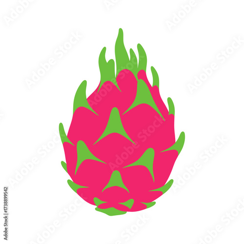 Vibrant dragon fruit illustration showing tropical freshness and unique exotic charm