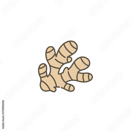 Stylized ginger root illustration for culinary and wellness applications depicted clearly