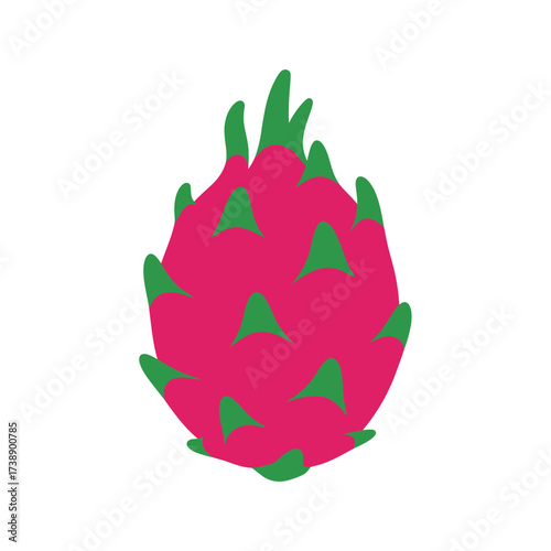 Stylized dragon fruit illustration against a clean white background canvas artwork