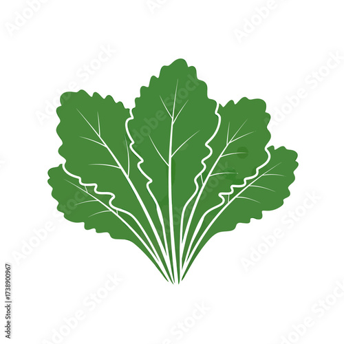 Stylized green leafy vegetable cluster with prominent venation and scalloped edges