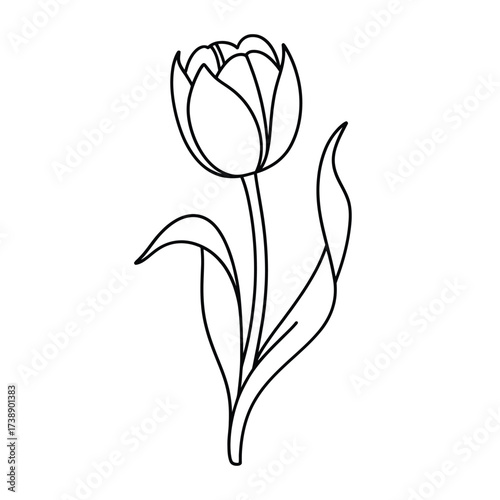 Simple line drawing of a single tulip flower with leaves
