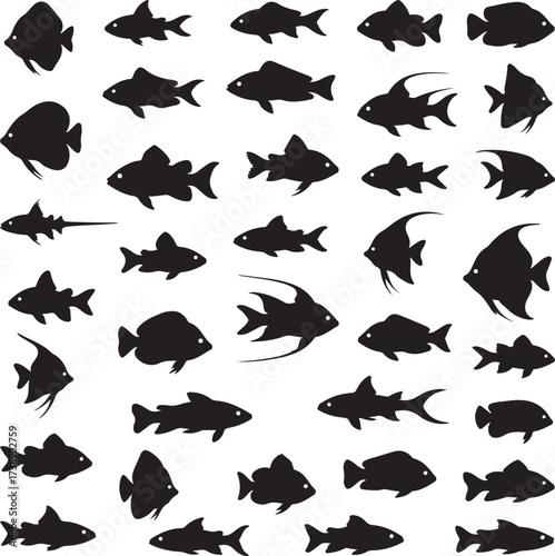 Ocean's Silhouette: A captivating silhouette showcase of various fish species, from sleek sharks to elegant angelfish, in a monochromatic display of aquatic life and underwater diversity.