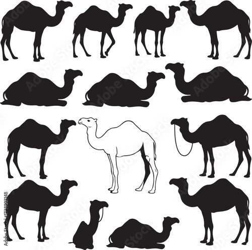 Camel Silhouettes: A visually stunning collection of camel silhouettes, showcasing their distinctive shapes in various poses and angles, perfect for design and informational purposes.