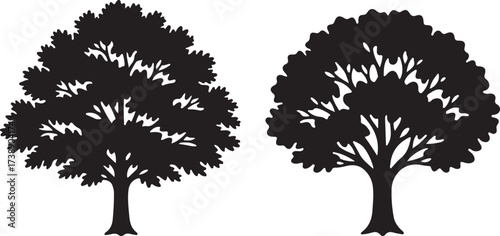 Twin Trees: Silhouette of two stylized trees with full canopy of leaves stands side by side creating a strong visual composition
