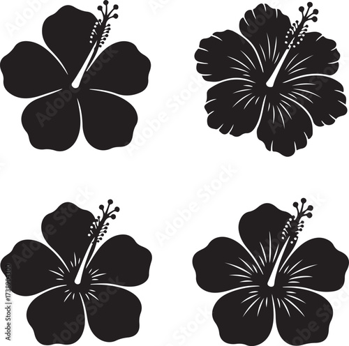 Hibiscus Harmony: A set of exquisite hibiscus flowers in various stages, elegantly depicted in a monochrome style, showcasing the beauty of nature's floral designs.