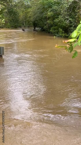 Vertical video shows Hurricane Helene floodwaters overwhelming Georgia creek