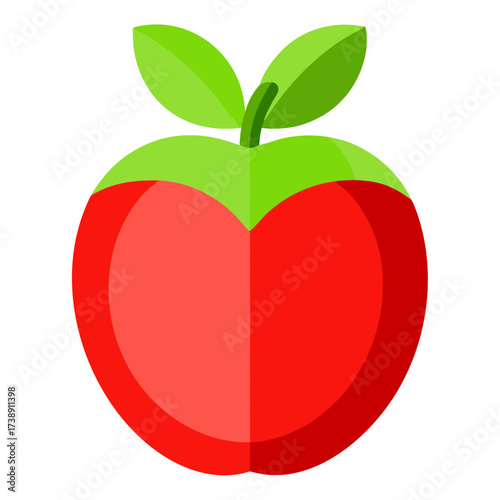 Apple Cross Section Vector