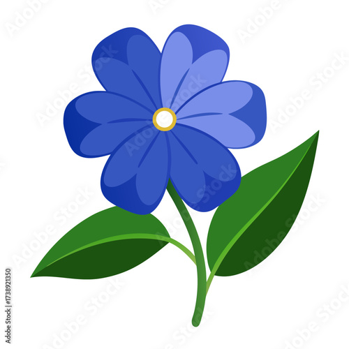  leadwort plumbago on white