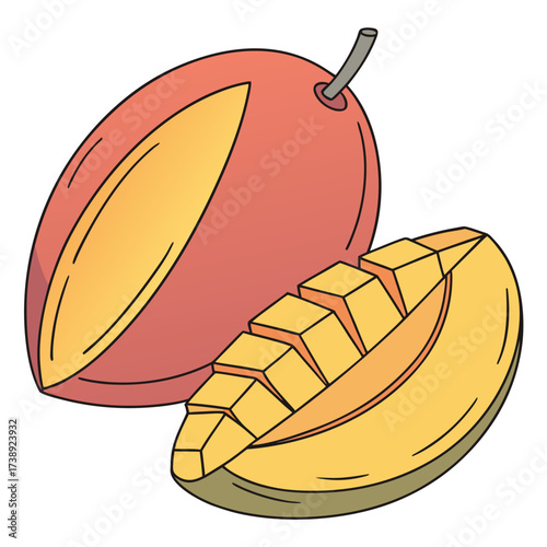 mangifera indica vector