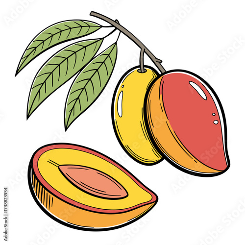 mangifera indica with leaves