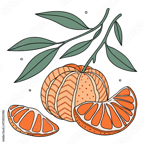 mandarine on white background