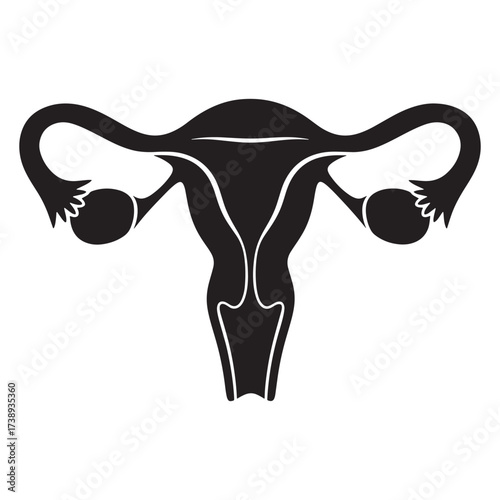Black silhouette of the female reproductive system uterus and ovaries