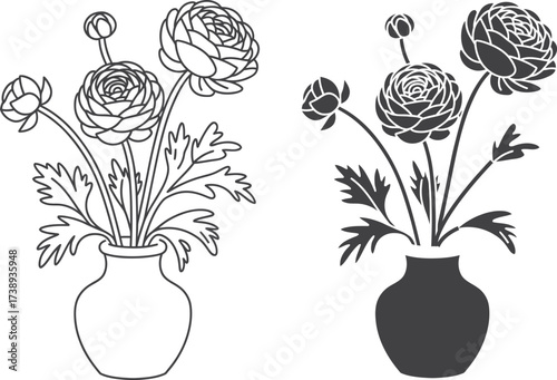 Two line art illustrations of ranunculus flowers in vases