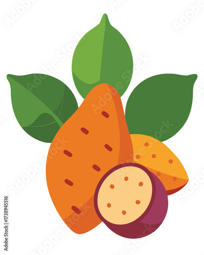 Vector art of sweet potato illustration with leaves