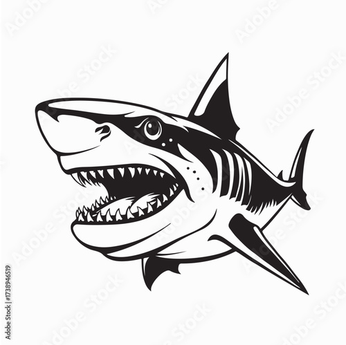 Fierce Shark Vector Art Showing Powerful Body and Menacing Expression