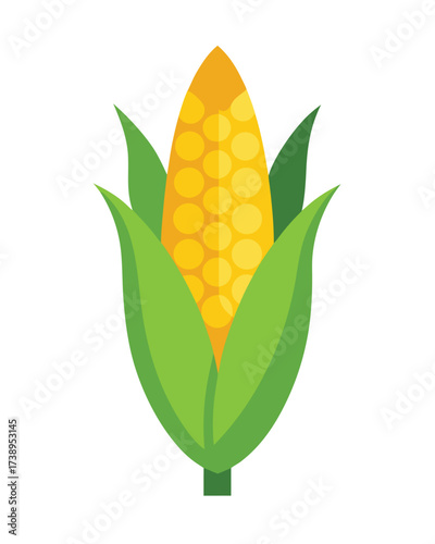 Vector art of a ripe ear of yellow corn with green husks