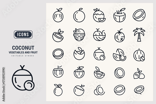 A Collection of Fresh Tropical Coconut Fruit Vector Icons White Background.