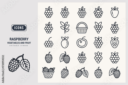 Collection of Raspberry and Other Fruit Icons and Symbols for Graphic Design White Background.