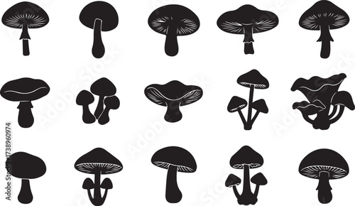 A colorful set of mushroom vector illustrations featuring edible and toadstool fungi from the forest on grass