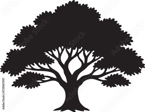 A detailed silhouette of a large deciduous tree with a full canopy isolated on white background