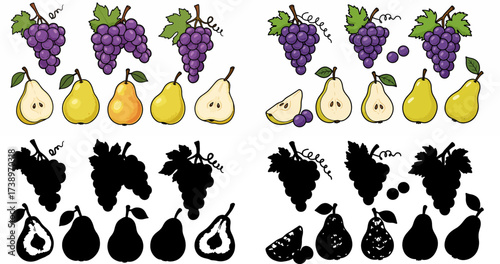 Grapes and pears set with transparent background