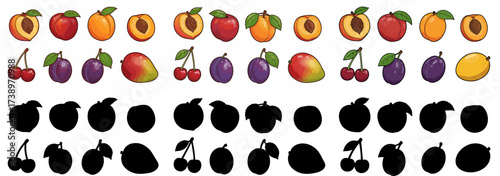 Assorted fruits with outlines and transparent background