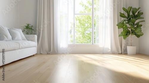 Sunny living room, white couch, wood floor, window view