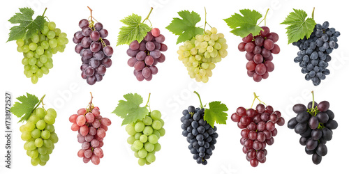Grapes PNG Set – Realistic Grape Bunches  Isolated on Transparent Background