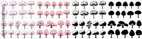 Various tree types collection with transparent background