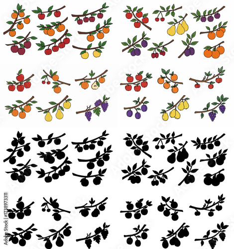 Fruit branches with apples, pears, and grapes