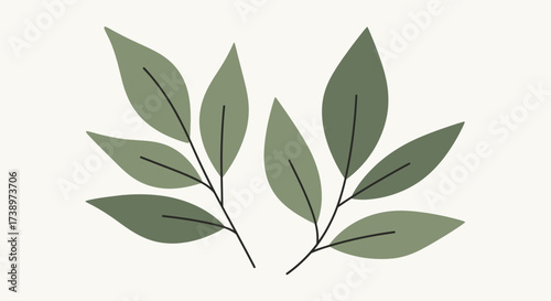 Two delicate green sprigs with leaves, presented against a neutral background.