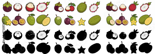 Exotic fruits collection with transparent background