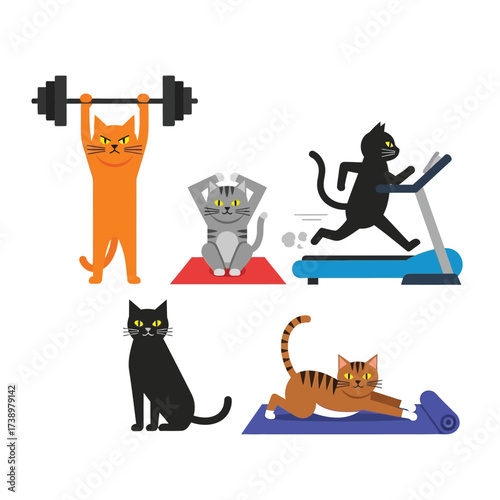 Cartoon cats engaged in various exercises, including weightlifting, yoga, and running on a treadmill.