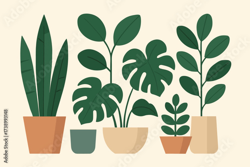 Flat group vector symmetrically houseplants minimal stylized geometric illustration pots plant arranged