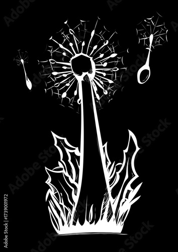 Pusteblume 