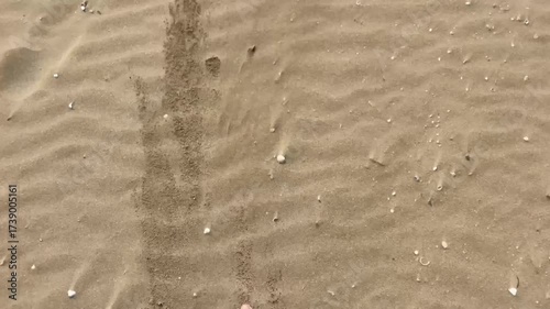 Camminare a piedi nudi sulla sabbia