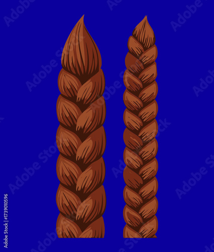 Realistic Detailed Illustration Long Dark Brown Braided Pigtails Hairstyle