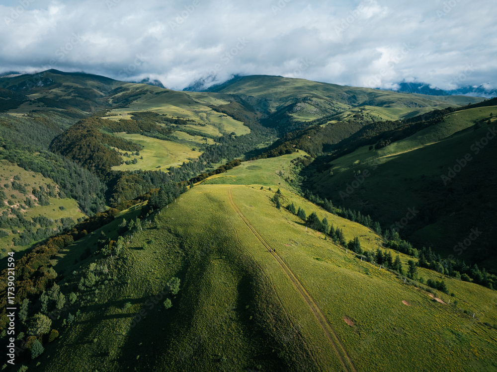 Naklejka premium Aerial view of two tibetan women walking in the beautiful flowering grassland mountains ,going to forage the wild Matsutake mushroom in the forest in Chin