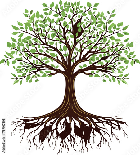 Vibrant deciduous tree with lush green leaves and intricate root system on white background