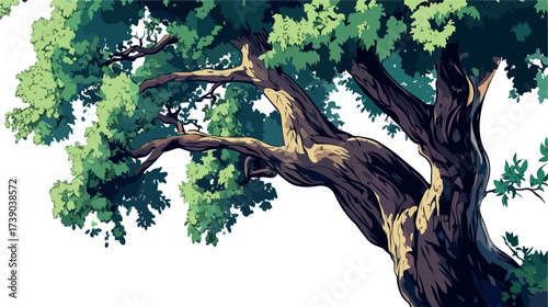 Ancient gnarled tree with lush green foliage against a bright white background